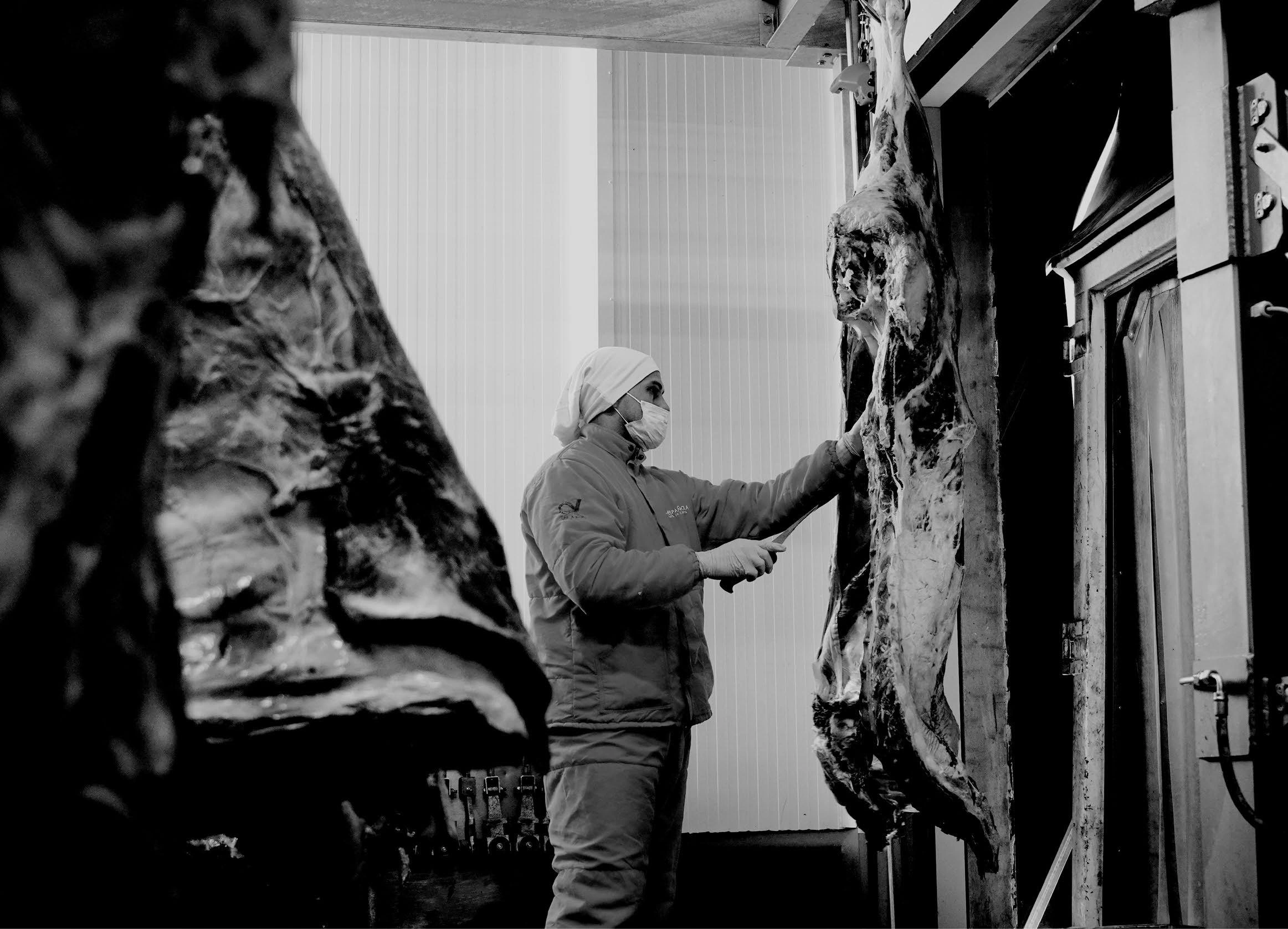 Carnicero trabajando entre reses colgadas, fotografía completa del catálogo Velasco